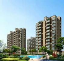 江油二手房爆料信息最新,最新爆料揭示价格走势与热门房源