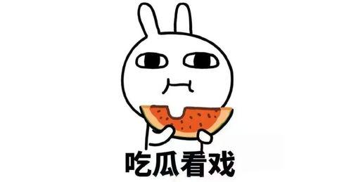 娱乐吃瓜酱简介怎么写的,带你领略娱乐圈幕后风云